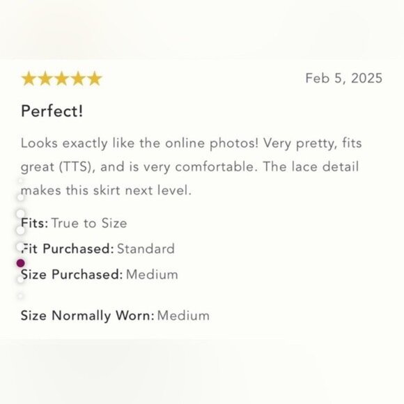 NWT Size XL - By Anthropologie Sequin Lace Midi Skirt - Picture 14 of 16